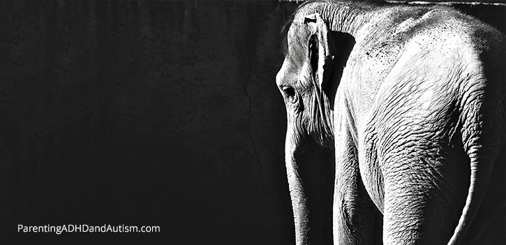 When the Elephant in the Room Roars: The consequences of ignoring invisible disabilities in the classroom